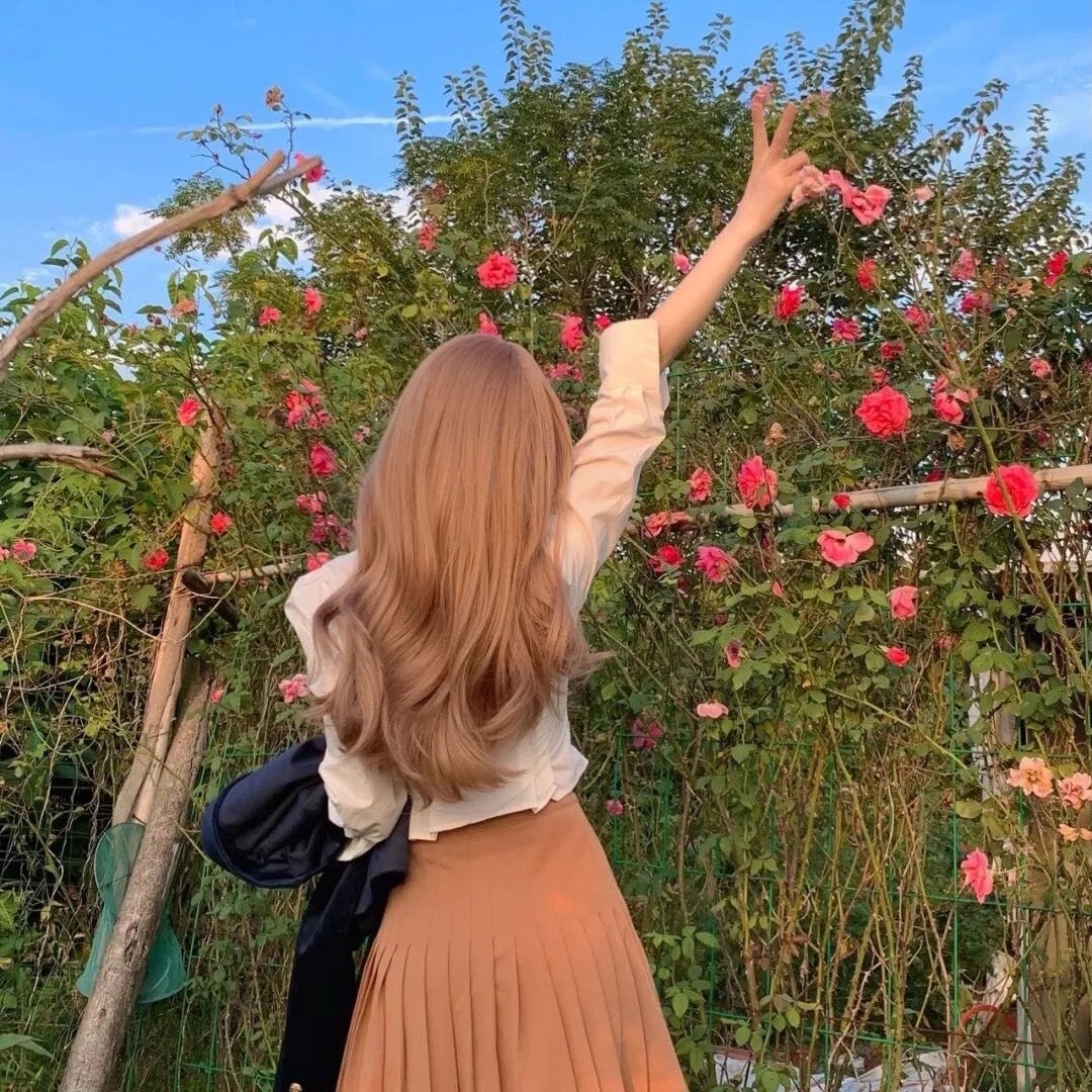 圣斗士星矢真人版